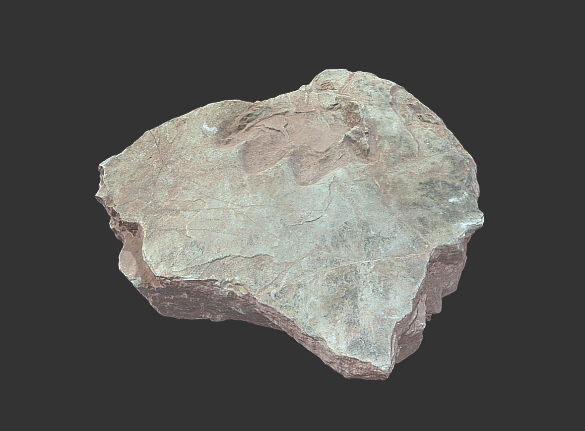 Chiroterium